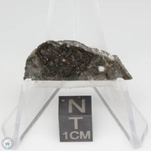 NWA 14041 Lunar Meteorite 1.56g