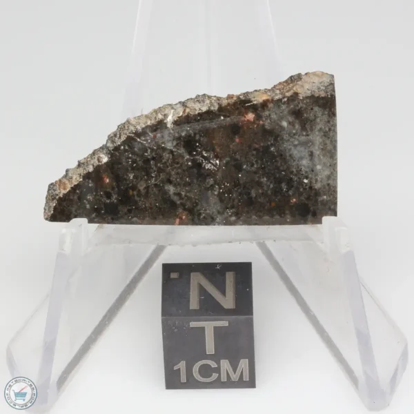 NWA 14041 Lunar Meteorite 2.17g