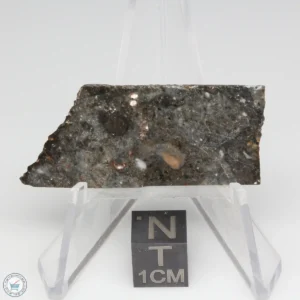 NWA 14041 Lunar Meteorite 1.94g