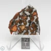 Sericho Pallasite Meteorite 17.3g