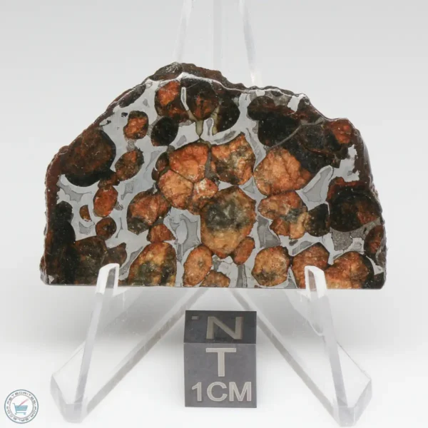 Sericho Pallasite Meteorite 18.9g