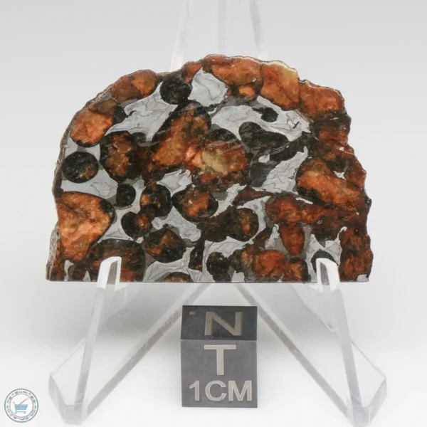 Sericho Pallasite Meteorite 19.1g