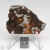 Sericho Pallasite Meteorite 17.1g