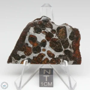 Sericho Pallasite Meteorite 18.3g