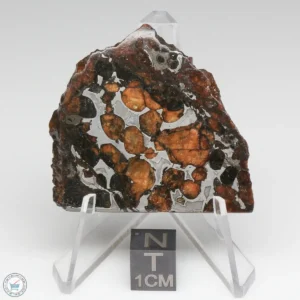 Sericho Pallasite Meteorite 18.0g