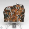 Sericho Pallasite Meteorite 30.8g