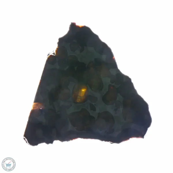 Sericho Pallasite Meteorite 19.9g