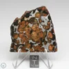 Sericho Pallasite Meteorite 30.1g