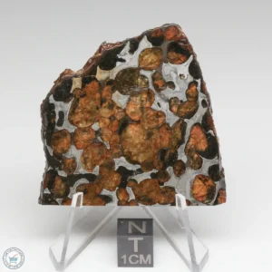 Sericho Pallasite Meteorite 30.1g