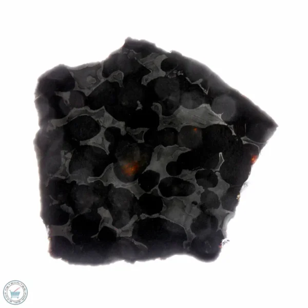 Sericho Pallasite Meteorite 32.4g