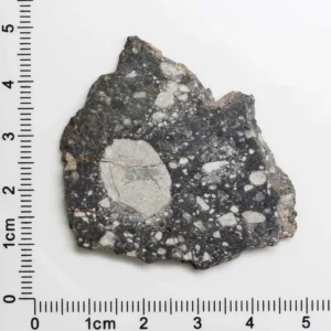 NWA 11474 Lunar Meteorite