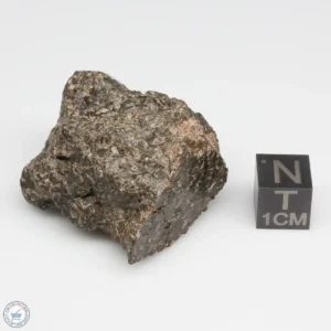 NWA 16127 Martian Meteorite