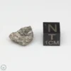 Bechar 003 Lunar Meteorite Fragment 1.54g