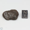 Canyon Diablo Meteorite 16.3g