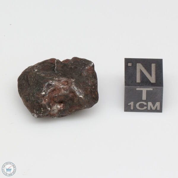 Canyon Diablo Meteorite 15.2g