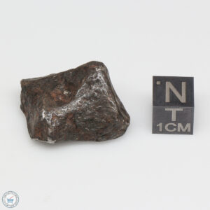 Canyon Diablo Meteorite 20.6g