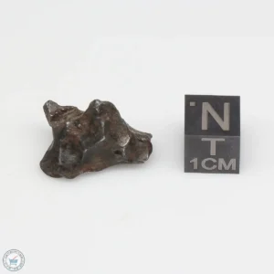 Sikhote-Alin Meteorite 6.7g