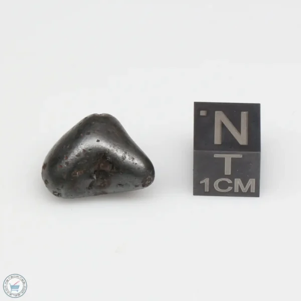 Sikhote-Alin Meteorite 8.2g