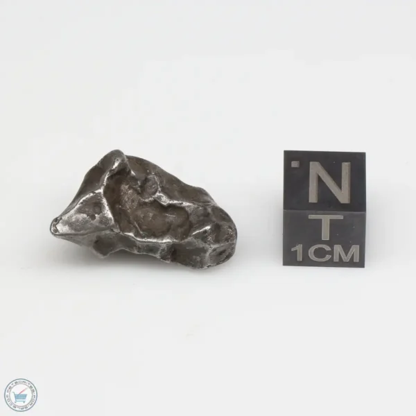 Sikhote-Alin Meteorite 9.1g