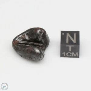 Sikhote-Alin Meteorite 13.4g