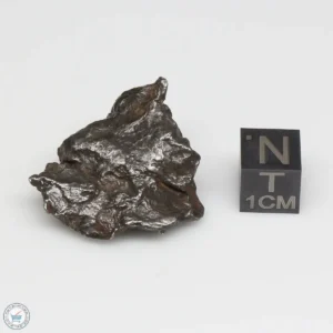 Sikhote-Alin Meteorite Shrapnel 22.5g