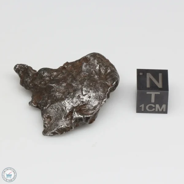 Sikhote-Alin Meteorite Shrapnel 31.1g