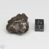 Sikhote-Alin Meteorite Shrapnel 32.7g