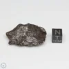 Sikhote-Alin Meteorite Shrapnel 33.0g