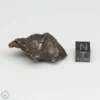 Sikhote-Alin Meteorite Shrapnel 37.5g