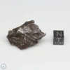 Sikhote-Alin Meteorite Shrapnel 38.4g