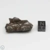 Sikhote-Alin Meteorite Shrapnel 33.4g