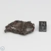 Sikhote-Alin Meteorite Shrapnel 36.4g