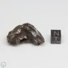 Sikhote-Alin Meteorite Shrapnel 40.2g