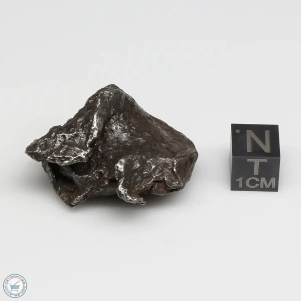 Sikhote-Alin Meteorite Shrapnel 49.8g