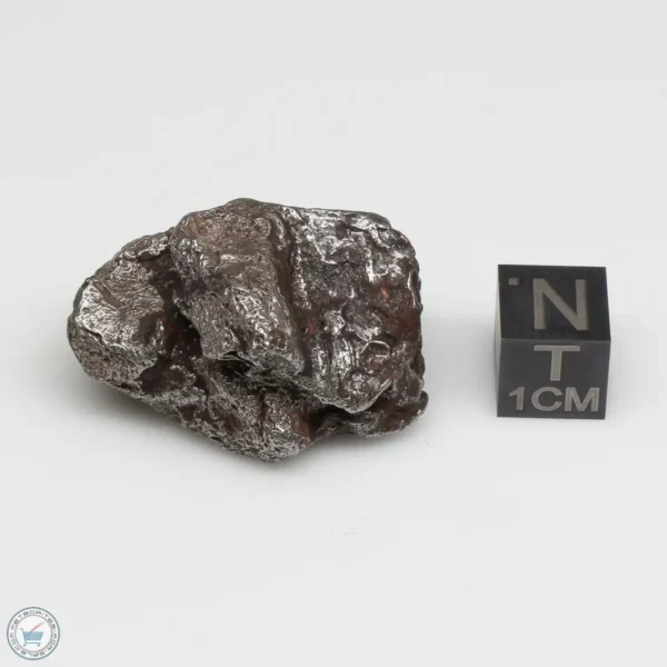 Sikhote-Alin Meteorite Shrapnel 50.3g