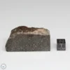 UNWA Meteorite Part End Piece 73.7g