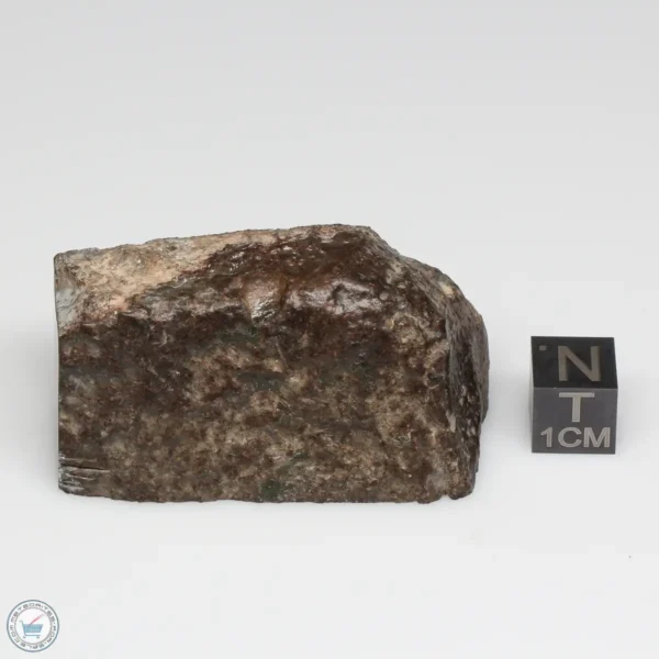 UNWA Meteorite Part End Piece 73.7g