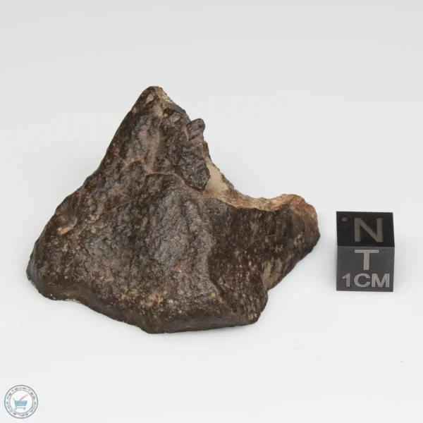 UNWA Meteorite End Piece 60.3g