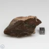 UNWA Meteorite End Piece 107.7g