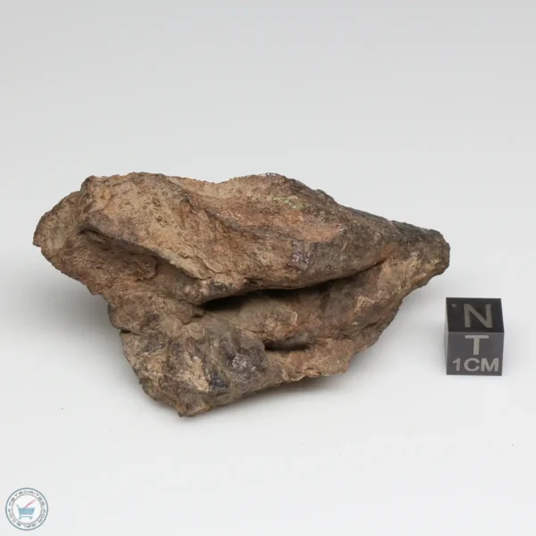 UNWA Meteorite End Piece 107.7g