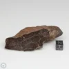 UNWA Meteorite End Piece 90.1g