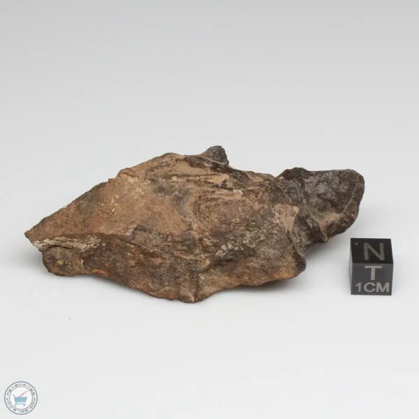 UNWA Meteorite End Piece 90.1g