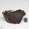 UNWA Meteorite End Piece 192.9g