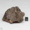 UNWA Meteorite End Piece 192.9g