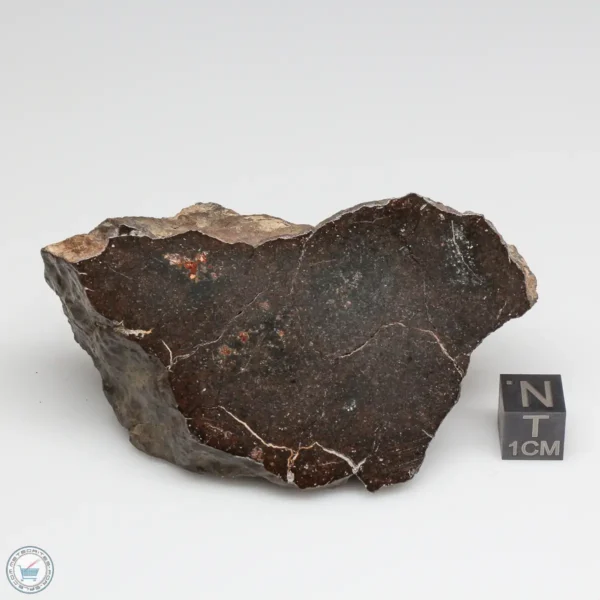 UNWA Meteorite End Piece 192.9g