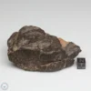 UNWA Meteorite End Piece 278.1g