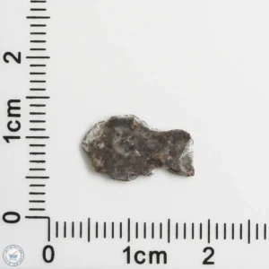 NWA 11182 Lunar Meteorite 0.25g