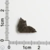 NWA 11182 Lunar Meteorite 0.29g