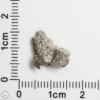 NWA 11182 Lunar Meteorite 0.40g