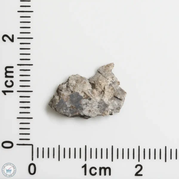 NWA 11182 Lunar Meteorite 0.38g End Cut